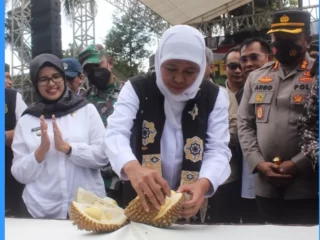Dinas Pertanian dan Ketahanan Pangan Jatim Abadikan Momen Khofifah Rayakan Festival Durian di Blitar
