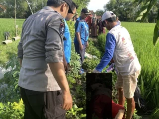Perempuan Paruh Baya Meninggal Diduga Tersengat Listrik Jebakan Tikus di Lamongan