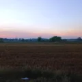 Cuaca Jawa Timur Hari Ini 25 Juli 2026, Banyuwangi Situbondo Tuban Berawan