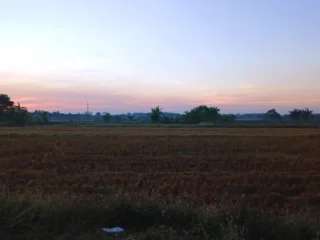 Cuaca Jawa Timur Hari Ini 25 Juli 2026, Banyuwangi Situbondo Tuban Berawan