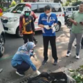 Tabrakan CRV, Beat dan Vega di Surabaya Sebabkan Pemotor Meninggal