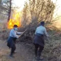 Kebakaran Gunung Bromo, Petugas Andalkan Sekat Bakar Cegah Api Meluas