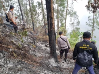 Gunung Butak Kebakaran, Petugas Padamkan Api di Ketinggian 1.800 MDPL