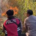 Lereng Gunung Lawu Terbakar, 50 Personel Gabungan Langsung Dikerahkan