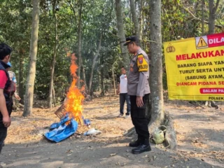 Polisi Gerebek Sabung Ayam di Kediri tapi Sepi
